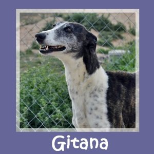 Gitana