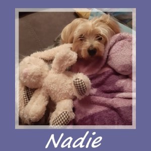 Nadie