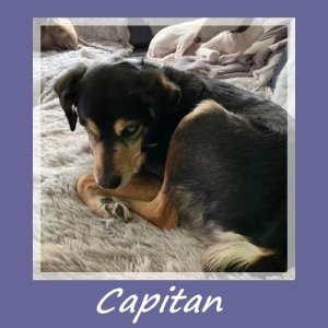 Capitan