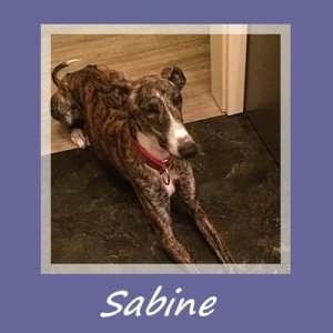 Sabine