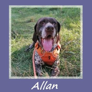 Allan