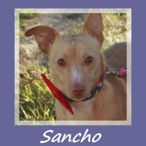 Sancho