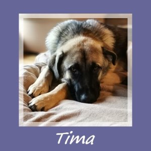 Tima