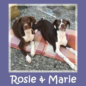 Rosie-Marie