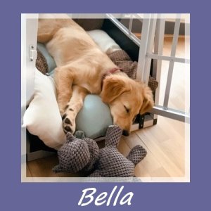 Bella2
