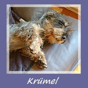 Krümel