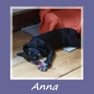 Anna