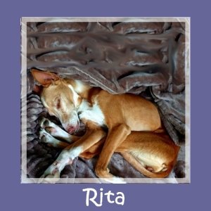 Rita