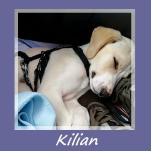 Kilian