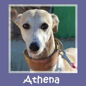 Athena