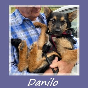 Danilo