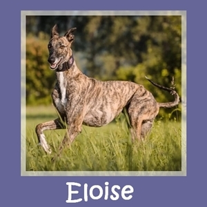 Eloise