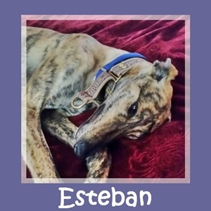 Esteban