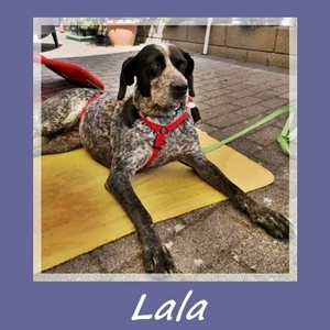 Lala