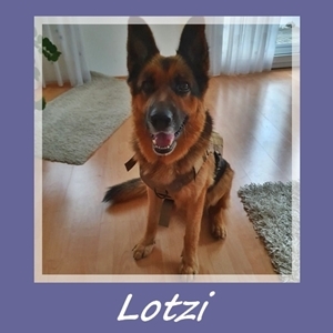 Lotzi