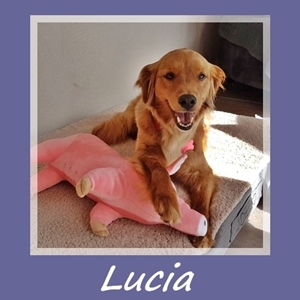 Lucia