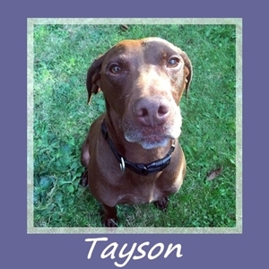 Tayson