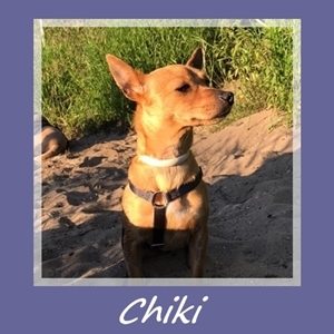 Chiki