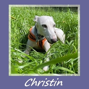 Christin