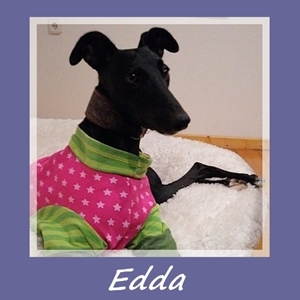 Edda