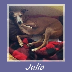 Julio