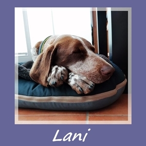 Lani