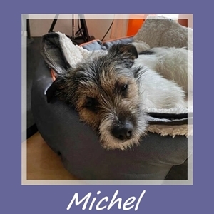 Michel