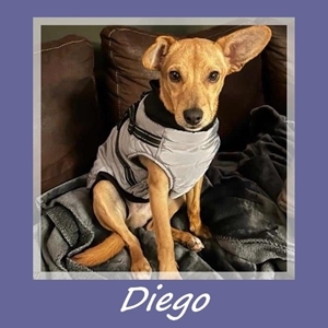 Diego