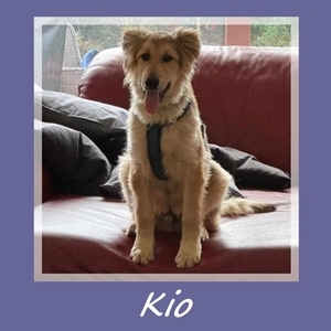 Kio