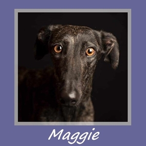 Maggie