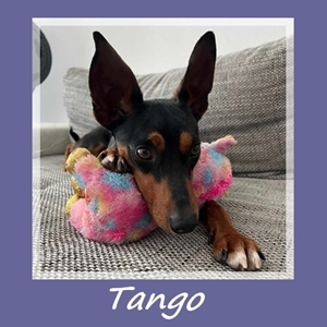 Tango