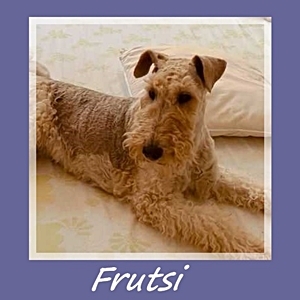 Frutsi