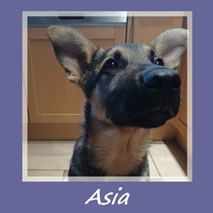 Asia