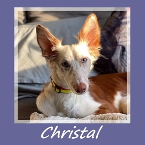 Christal