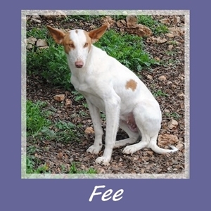 Fee