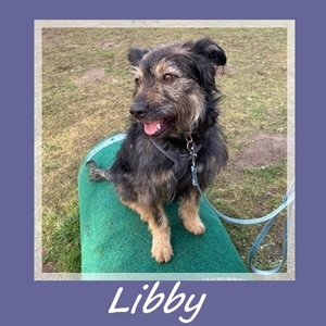 Libby