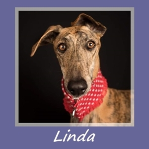 Linda