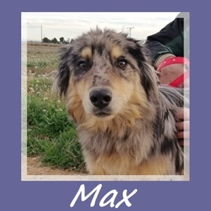 Max