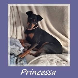 Princessa